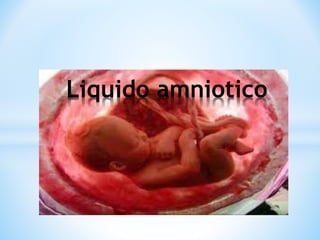 Liquido amniotico
 