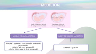 Ila Normal LIQUIDO AMNIÓTICO toco ginecologia.pptx