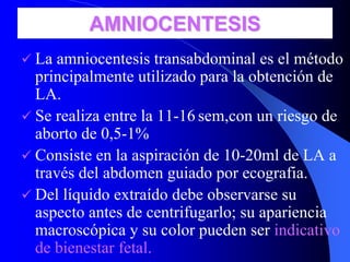 AMNIOCENTESISAMNIOCENTESIS
La amniocentesis transabdominal es el método
principalmente utilizado para la obtención de
LA.
Se realiza entre la 11-16 sem,con un riesgo de
aborto de 0,5-1%
Consiste en la aspiración de 10-20ml de LA a
través del abdomen guiado por ecografia.
Del líquido extraído debe observarse su
aspecto antes de centrifugarlo; su apariencia
macroscópica y su color pueden ser indicativo
de bienestar fetal.
 
