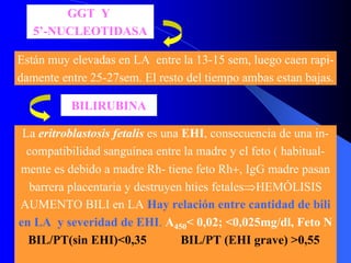 GGT Y
5’-NUCLEOTIDASA
Están muy elevadas en LA entre la 13-15 sem, luego caen rapi-
damente entre 25-27sem. El resto del tiempo ambas estan bajas.
BILIRUBINA
La eritroblastosis fetalis es una EHI, consecuencia de una in-
compatibilidad sanguínea entre la madre y el feto ( habitual-
mente es debido a madre Rh- tiene feto Rh+, IgG madre pasan
barrera placentaria y destruyen hties fetales⇒HEMÓLISIS
AUMENTO BILI en LA Hay relación entre cantidad de bili
en LA y severidad de EHI. A450< 0,02; <0,025mg/dl, Feto N
BIL/PT(sin EHI)<0,35 BIL/PT (EHI grave) >0,55
 