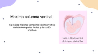 Maxima columna vertical
Se realiza midiendo la máxima columna vertical
de liquido de partes fetales y de cordón
umbilical.
 