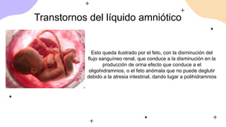 Transtornos del líquido amniótico
Esto queda ilustrado por el feto, con la disminución del
flujo sanguíneo renal, que conduce a la disminución en la
producción de orina efecto que conduce a el
oligohidramnios, o el feto anómala que no puede deglutir
debido a la atresia intestinal, dando lugar a polihidramnios
 