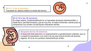 De la 1 a las 8 semanas
Trasudado de plasma materno a través del amnios
De la 10 a las 18 semanas
Su origen estaría fundamentalmente en un trasudado de liquido intersticial fetal a
través de la piel fetal inmadura, que es muy fina en estos momentos, siendo pues su
composición muy similar a la del liquido intracelular del feto
Después de las 18 semanas
El desarrollo fetal determina un engrosamiento y queratinización cutáneos, que va
a impedir la trasudación a su nivel, a la vez que inicia la función de diversos
órganos. El LA se va a producir activamente por el feto.
 