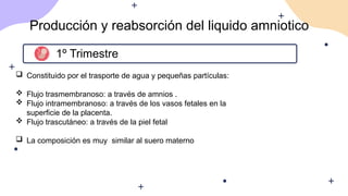 Producción y reabsorción del liquido amniotico
1º Trimestre
 Constituido por el trasporte de agua y pequeñas partículas:
 Flujo trasmembranoso: a través de amnios .
 Flujo intramembranoso: a través de los vasos fetales en la
superficie de la placenta.
 Flujo trascutáneo: a través de la piel fetal
 La composición es muy similar al suero materno
 