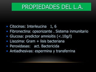 • Citocinas: Interleucina 1, 6
• Fibronectina: opsonizante . Sistema inmunitario
• Glucosa: predictor amnioítis (<.10g/l)
• Lisozima: Gram + lisis bacteriana
• Peroxidasas: act. Bactericida
• Antiadhesivas: espermina y transferrina
PROPIEDADES DEL L.A.
 