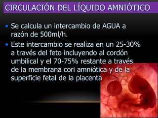 CIRCULACIÓN DEL LÍQUIDO AMNIÓTICO
• Se calcula un intercambio de AGUA a
razón de 500ml/h.
• Este intercambio se realiza en un 25-30%
a través del feto incluyendo al cordón
umbilical y el 70-75% restante a través
de la membrana cori amniótica y de la
superficie fetal de la placenta
 