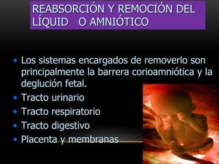 REABSORCIÓN Y REMOCIÓN DEL
LÍQUID O AMNIÓTICO
• Los sistemas encargados de removerlo son
principalmente la barrera corioamniótica y la
deglución fetal.
• Tracto urinario
• Tracto respiratorio
• Tracto digestivo
• Placenta y membranas
 