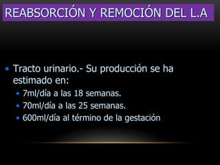 • Tracto urinario.- Su producción se ha
estimado en:
• 7ml/día a las 18 semanas.
• 70ml/día a las 25 semanas.
• 600ml/día al término de la gestación
REABSORCIÓN Y REMOCIÓN DEL L.A
 