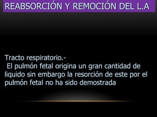 Tracto respiratorio.-
El pulmón fetal origina un gran cantidad de
liquido sin embargo la resorción de este por el
pulmón fetal no ha sido demostrada
REABSORCIÓN Y REMOCIÓN DEL L.A
 