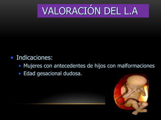 • Indicaciones:
• Mujeres con antecedentes de hijos con malformaciones
• Edad gesacional dudosa.
VALORACIÓN DEL L.A
 