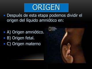 ORIGEN
• Después de esta etapa podemos dividir el
origen del líquido amniótico en:
• A) Origen amniótico.
• B) Origen fetal.
• C) Origen materno
 