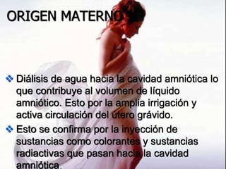 ORIGEN
MATERNO
ORIGEN MATERNO
 Diálisis de agua hacia la cavidad amniótica lo
que contribuye al volumen de líquido
amniótico. Esto por la amplia irrigación y
activa circulación del útero grávido.
 Esto se confirma por la inyección de
sustancias como colorantes y sustancias
radiactivas que pasan hacia la cavidad
amniótica.
 