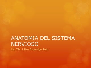 ANATOMIA DEL SISTEMA
NERVIOSO
Lic. T.M. Lilian Arquínigo Soto
 