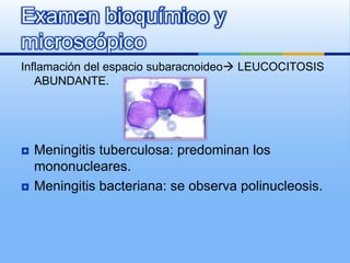Examen bioquímico y
microscópico
Inflamación del espacio subaracnoideo LEUCOCITOSIS
   ABUNDANTE.




   Meningitis tuberculosa: predominan los
    mononucleares.
   Meningitis bacteriana: se observa polinucleosis.
 