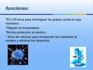 funciones:

*El LCR sirve para amortiguar los golpes contra la caja
craneana.
*Regular la homeostasis.
*Brinda protección al cerebro.
* Sirve de vehículo para transportar los nutrientes al
cerebro y eliminar los desechos.
 