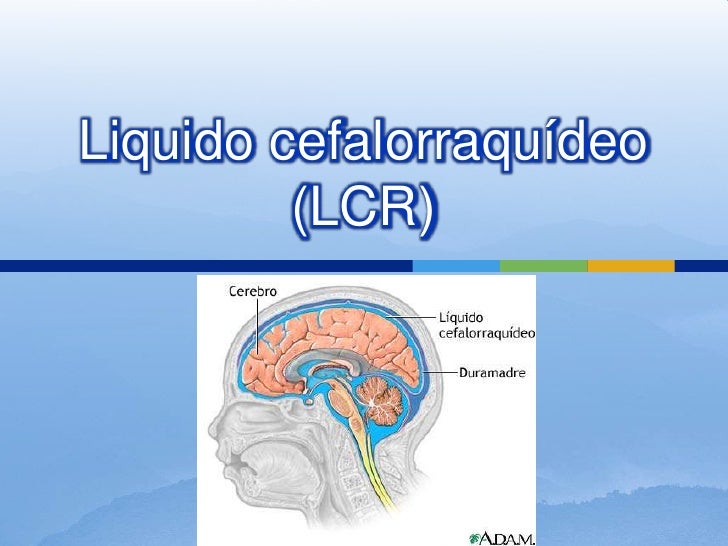 Liquido cefalorraquídeo Liquido cefalorraquídeo