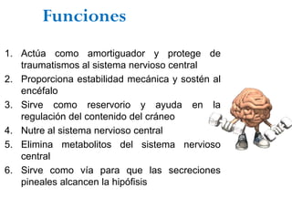 Funciones
1. Actúa como amortiguador y protege de
   traumatismos al sistema nervioso central
2. Proporciona estabilidad mecánica y sostén al
   encéfalo
3. Sirve como reservorio y ayuda en la
   regulación del contenido del cráneo
4. Nutre al sistema nervioso central
5. Elimina metabolitos del sistema nervioso
   central
6. Sirve como vía para que las secreciones
   pineales alcancen la hipófisis
 