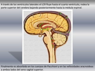 Liquido Cefalorraquídeo (LCR) | PPTX