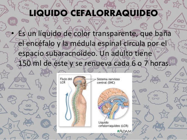 Liquido cefalorraquideo