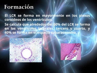 LIQUIDO_CEFALORRAQUIDEO anatomía fisiologia | PPTX
