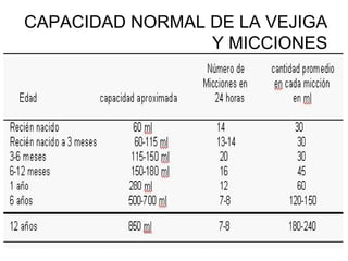 Liquidos Y Electrolitos