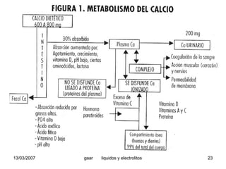 Liquidos Y Electrolitos