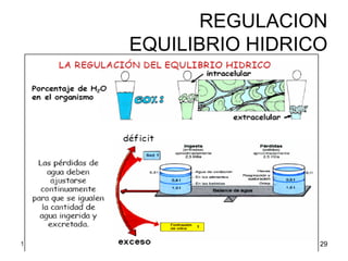 Liquidos Y Electrolitos