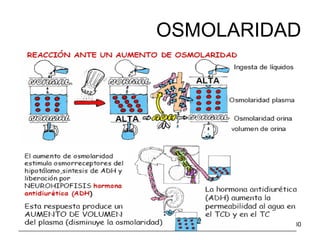 Liquidos Y Electrolitos