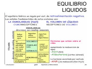 Liquidos Y Electrolitos