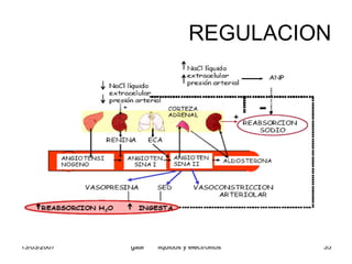 Liquidos Y Electrolitos