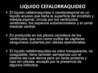 LIQUIDO CEFALORRAQUIDEO
 El líquido cefalorraquídeo o cerebroespinal es un
liquido acuoso que baña la superficie del encéfalo y
médula espinal, circula por los ventrículos
cerebrales, los espacios subaracnoideos y el canal
medular central.
 Es producido en los plexos coroideos de los
ventrículos, que son como ovillos de capilares
sanguíneos cubiertos por células ependimales.
 El líquido cefalorraquídeo es claro transparente, no
coagulable, tiene también semejanza con el
plasma del cual deriva pero sin tanta proteína y
casi sin células, excepto por la presencia de
algunos linfocitos.

 