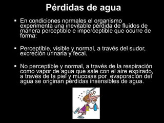 Pérdidas de agua
 En condiciones normales el organismo
experimenta una inevitable pérdida de fluidos de
manera perceptible e imperceptible que ocurre de
forma:
 Perceptible, visible y normal, a través del sudor,
excreción urinaria y fecal.
 No perceptible y normal, a través de la respiración
como vapor de agua que sale con el aire expirado,
a través de la piel y mucosas por evaporación del
agua se originan pérdidas insensibles de agua.

 