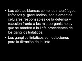  Las células blancas como los macrófagos,
linfocitos y granulocitos, son elementos
celulares responsables de la defensa y
reacción frente a los microorganismos y
que se añaden a la linfa procedentes de
los ganglios linfáticos.
 Los ganglios linfáticos son estaciones
para la filtración de la linfa.

 