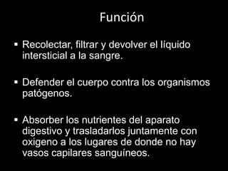Función
 Recolectar, filtrar y devolver el líquido
intersticial a la sangre.
 Defender el cuerpo contra los organismos
patógenos.
 Absorber los nutrientes del aparato
digestivo y trasladarlos juntamente con
oxigeno a los lugares de donde no hay
vasos capilares sanguíneos.

 