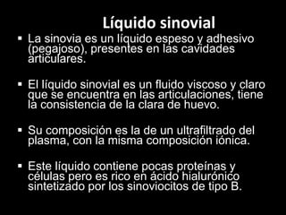 Líquido sinovial

 La sinovia es un líquido espeso y adhesivo
(pegajoso), presentes en las cavidades
articulares.
 El líquido sinovial es un fluido viscoso y claro
que se encuentra en las articulaciones, tiene
la consistencia de la clara de huevo.
 Su composición es la de un ultrafiltrado del
plasma, con la misma composición iónica.
 Este líquido contiene pocas proteínas y
células pero es rico en ácido hialurónico
sintetizado por los sinoviocitos de tipo B.

 