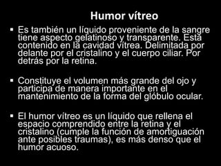 Humor vítreo
 Es también un líquido proveniente de la sangre
tiene aspecto gelatinoso y transparente. Está
contenido en la cavidad vítrea. Delimitada por
delante por el cristalino y el cuerpo ciliar. Por
detrás por la retina.
 Constituye el volumen más grande del ojo y
participa de manera importante en el
mantenimiento de la forma del glóbulo ocular.
 El humor vítreo es un líquido que rellena el
espacio comprendido entre la retina y el
cristalino (cumple la función de amortiguación
ante posibles traumas), es más denso que el
humor acuoso.

 