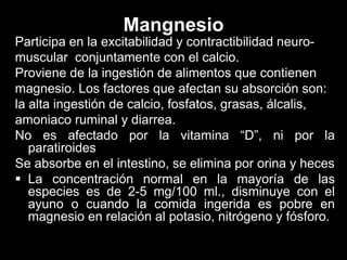 Mangnesio
Participa en la excitabilidad y contractibilidad neuromuscular conjuntamente con el calcio.
Proviene de la ingestión de alimentos que contienen
magnesio. Los factores que afectan su absorción son:
la alta ingestión de calcio, fosfatos, grasas, álcalis,
amoniaco ruminal y diarrea.
No es afectado por la vitamina “D”, ni por la
paratiroides
Se absorbe en el intestino, se elimina por orina y heces
 La concentración normal en la mayoría de las
especies es de 2-5 mg/100 ml., disminuye con el
ayuno o cuando la comida ingerida es pobre en
magnesio en relación al potasio, nitrógeno y fósforo.

 