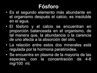 Fósforo
• Es el segundo elemento más abundante en
el organismo después el calcio, es insoluble
en el agua.
• El fósforo y el calcio se encuentran en
proporción balanceada en el organismo, de
tal manera que, la abundancia o la carencia
de uno afecta a la absorción del otro.
• La relación entre estos dos minerales está
regulada por la hormona paratiroidea.
• Se encuentra en plasma de la mayoría de las
especies, con la concentración de 4-8
mg/100 ml.

 