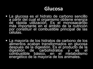 Glucosa
 La glucosa es el hidrato de carbono sencillo
a partir del cual el organismo obtiene energía
de rápida utilización. Es el monosacárido
más importante en el ámbito de la nutrición
por constituir el combustible principal de las
células.

 La mayoría de los hidratos de carbono de los
alimentos acaban transformados en glucosa
después de la digestión. Es el producto de la
digestión de carbohidratos y es el
combustible básico, en el metabolismo
energético de la mayoría de los animales.

 