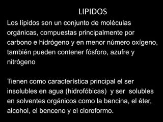 LIPIDOS
Los lípidos son un conjunto de moléculas
orgánicas, compuestas principalmente por
carbono e hidrógeno y en menor número oxígeno,
también pueden contener fósforo, azufre y
nitrógeno
Tienen como característica principal el ser
insolubles en agua (hidrofóbicas) y ser solubles
en solventes orgánicos como la bencina, el éter,
alcohol, el benceno y el cloroformo.

 