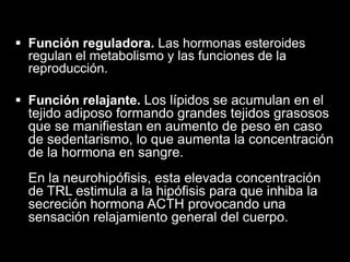  Función reguladora. Las hormonas esteroides
regulan el metabolismo y las funciones de la
reproducción.
 Función relajante. Los lípidos se acumulan en el
tejido adiposo formando grandes tejidos grasosos
que se manifiestan en aumento de peso en caso
de sedentarismo, lo que aumenta la concentración
de la hormona en sangre.

En la neurohipófisis, esta elevada concentración
de TRL estimula a la hipófisis para que inhiba la
secreción hormona ACTH provocando una
sensación relajamiento general del cuerpo.

 