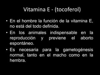 Vitamina E - (tocoferol)
• En el hombre la función de la vitamina E,
no está del todo definida.
• En los animales indispensable en la
reproducción y previene el aborto
espontáneo.
• Es necesaria para la gametogénesis
normal, tanto en el macho como en la
hembra.

 
