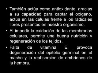 • También actúa como antioxidante, gracias
a su capacidad para captar el oxígeno,
actúa en las células frente a los radicales
libres presentes en nuestro organismo.
• Al impedir la oxidación de las membranas
celulares, permite una buena nutrición y
regeneración de los tejidos.
• Falta
de
vitamina
E,
provoca
degeneración del epitelio germinal en el
macho y la reabsorción de embriones de
la hembra.

 