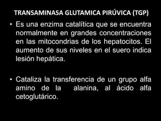 TRANSAMINASA GLUTAMICA PIRÚVICA (TGP)
• Es una enzima catalítica que se encuentra
normalmente en grandes concentraciones
en las mitocondrias de los hepatocitos. El
aumento de sus niveles en el suero indica
lesión hepática.
• Cataliza la transferencia de un grupo alfa
amino de la
alanina, al ácido alfa
cetoglutárico.

 