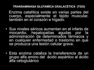 TRANSAMINASA GLUTAMICA OXALACÉTICA (TGO)

Enzima catalítica existe en varias partes del
cuerpo, especialmente el tejido muscular,
también en el corazón e hígado.
• Sus niveles séricos aumentan en el infarto de
miocardio, hepatopatías agudas por la
administración de determinados fármacos y
en cualquier enfermedad o trastorno en que
se produzca una lesión celular grave.
• Esta enzima cataliza la transferencia de un
grupo alfa amino del ácido aspártico al ácido
alfa cetoglutárico

 