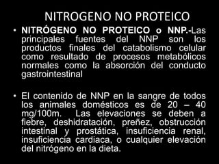 NITROGENO NO PROTEICO
• NITRÓGENO NO PROTEICO o NNP.-Las
principales fuentes del NNP son los
productos finales del catabolismo celular
como resultado de procesos metabólicos
normales como la absorción del conducto
gastrointestinal

• El contenido de NNP en la sangre de todos
los animales domésticos es de 20 – 40
mg/100m.
Las elevaciones se deben a
fiebre, deshidratación, preñez, obstrucción
intestinal y prostática, insuficiencia renal,
insuficiencia cardiaca, o cualquier elevación
del nitrógeno en la dieta.

 