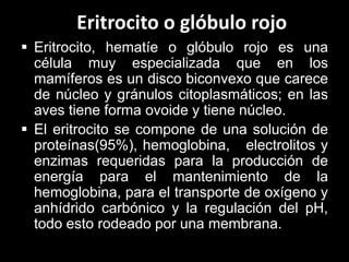 Eritrocito o glóbulo rojo
 Eritrocito, hematíe o glóbulo rojo es una
célula muy especializada que en los
mamíferos es un disco biconvexo que carece
de núcleo y gránulos citoplasmáticos; en las
aves tiene forma ovoide y tiene núcleo.
 El eritrocito se compone de una solución de
proteínas(95%), hemoglobina, electrolitos y
enzimas requeridas para la producción de
energía para el mantenimiento de la
hemoglobina, para el transporte de oxígeno y
anhídrido carbónico y la regulación del pH,
todo esto rodeado por una membrana.

 