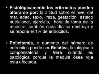 • Fisiológicamente los eritrocitos pueden
alterarse por: la altitud sobre el nivel del
mar, edad, sexo, raza, gestación estado
nutricional, ejercicio, hora de toma de la
muestra, también cada día se destruye y
se repone el 1% de eritrocitos.
• Policitemia, o aumento del número de
eritrocitos puede ser Relativa, fisiológica o
compensatoria y Vera cuando es
patológica porque la médula ósea roja
esta afectada.

 