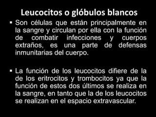 Leucocitos o glóbulos blancos
 Son células que están principalmente en
la sangre y circulan por ella con la función
de combatir infecciones y cuerpos
extraños, es una parte de defensas
inmunitarias del cuerpo.
 La función de los leucocitos difiere de la
de los eritrocitos y trombocitos ya que la
función de estos dos últimos se realiza en
la sangre, en tanto que la de los leucocitos
se realizan en el espacio extravascular.

 