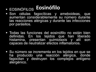 Eosinófilo

 EOSINÓFILOS
 Son células fagocíticas y ameboideas, que
aumentan considerablemente su número durante
las reacciones alérgicas y durante las infecciones
por parásitos.
 Todas las funciones del eosinófilo no están bien
definidas. En los tejidos que han liberado
histamina, presentan quimiotaxis y allí son
capaces de neutralizar efectos inflamatorios.
 Su número se incrementa en los tejidos en que se
ha producido una reacción alérgica, donde
fagocitan y destruyen los complejos antígeno
alergénico.

 